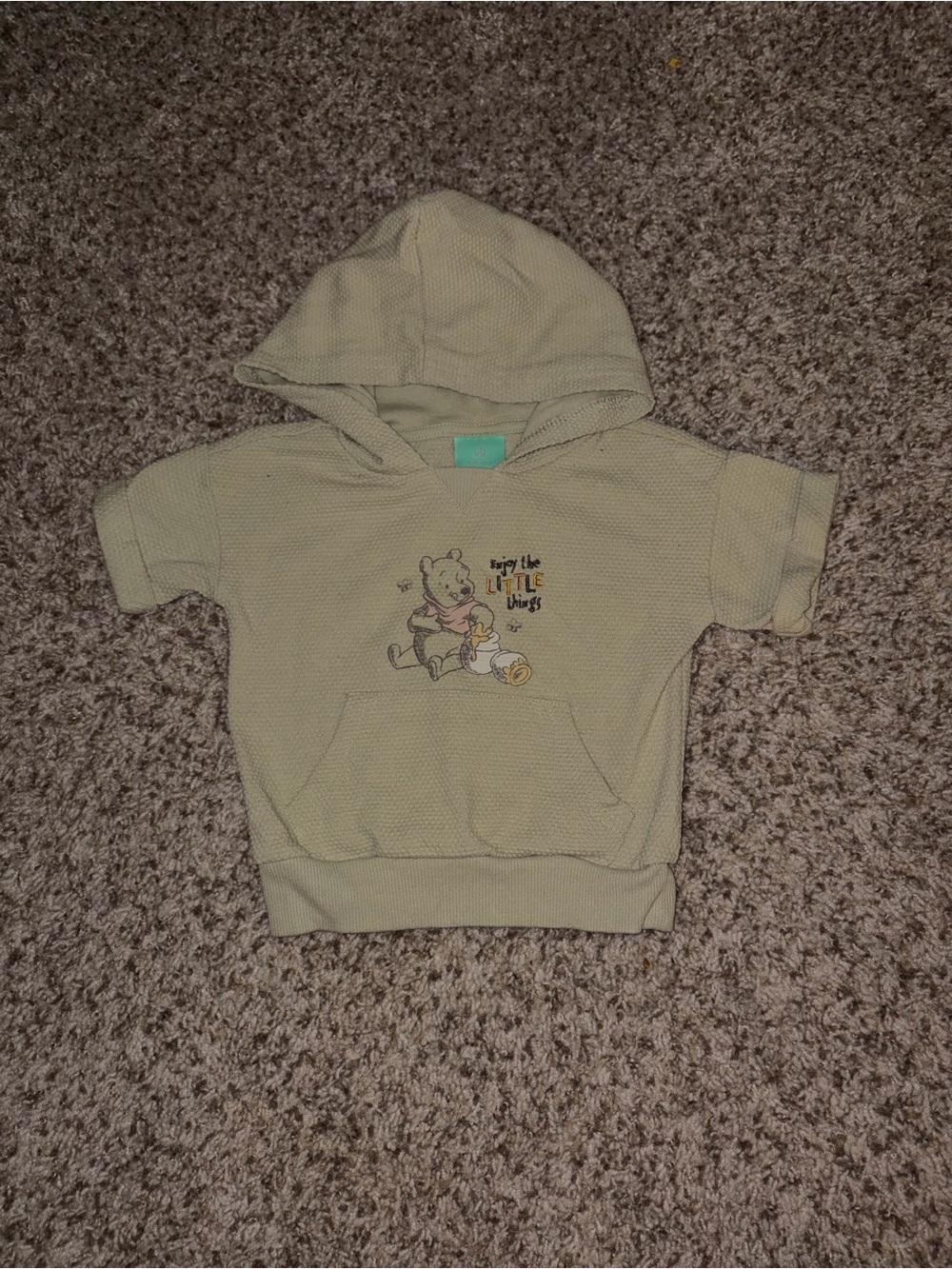 Kids Hooded Short-Sleeve Top in Light Green Winnie the Pooh Graphic